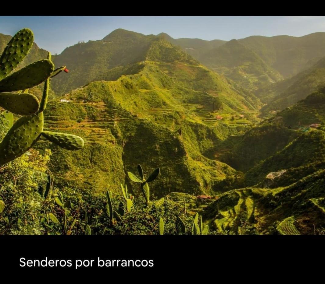 Playa Benijo Paraiso Rural Trail Santa Cruz de Tenerife Dış mekan fotoğraf